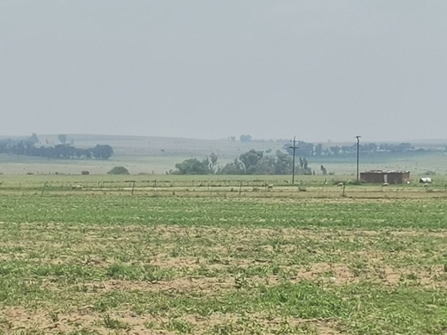 Commercial Property for Sale in Senekal Rural Free State
